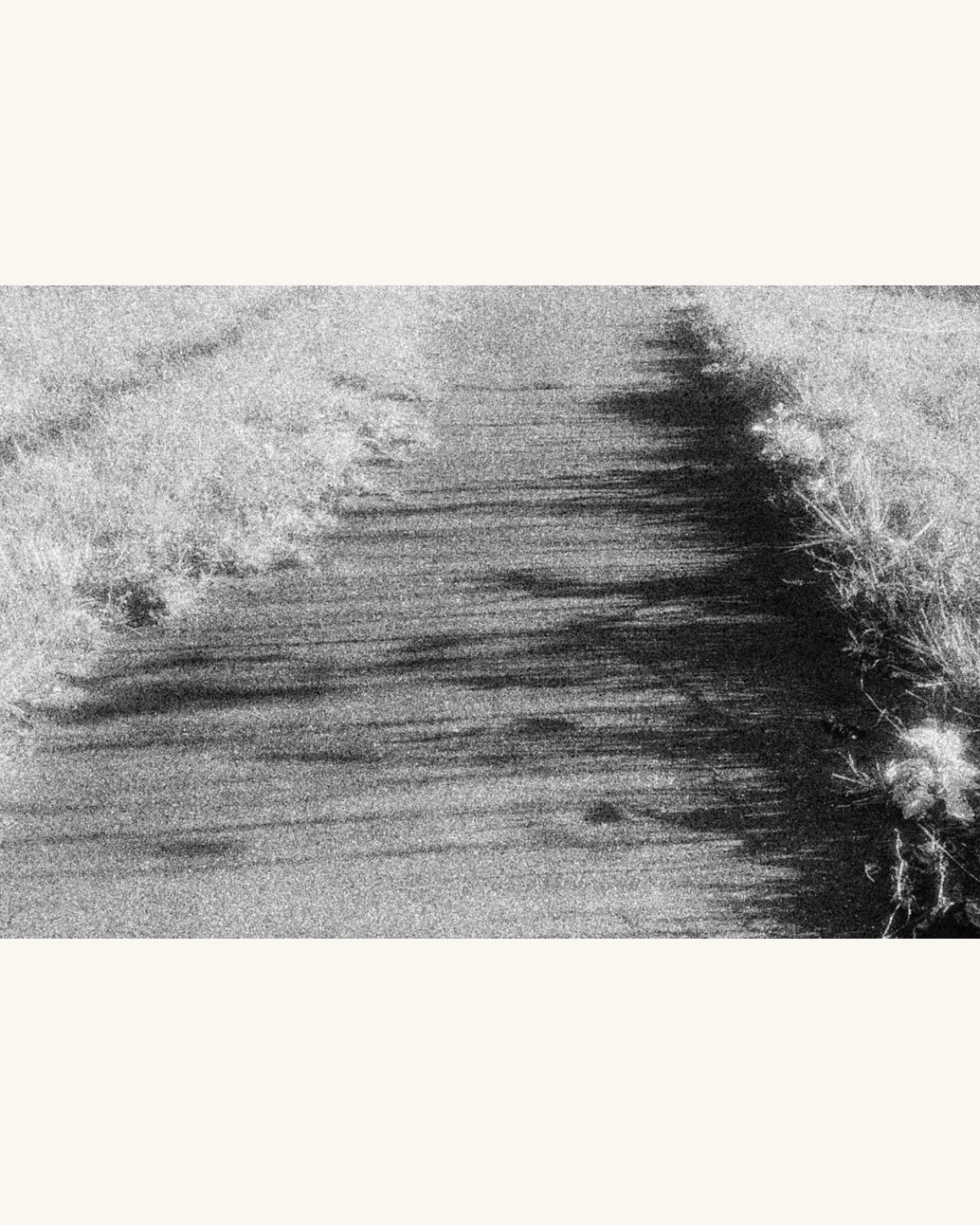 Shadows of grass falling across a path in long strokes
