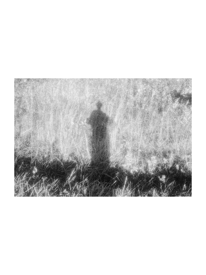 A shadow standing in tall grass