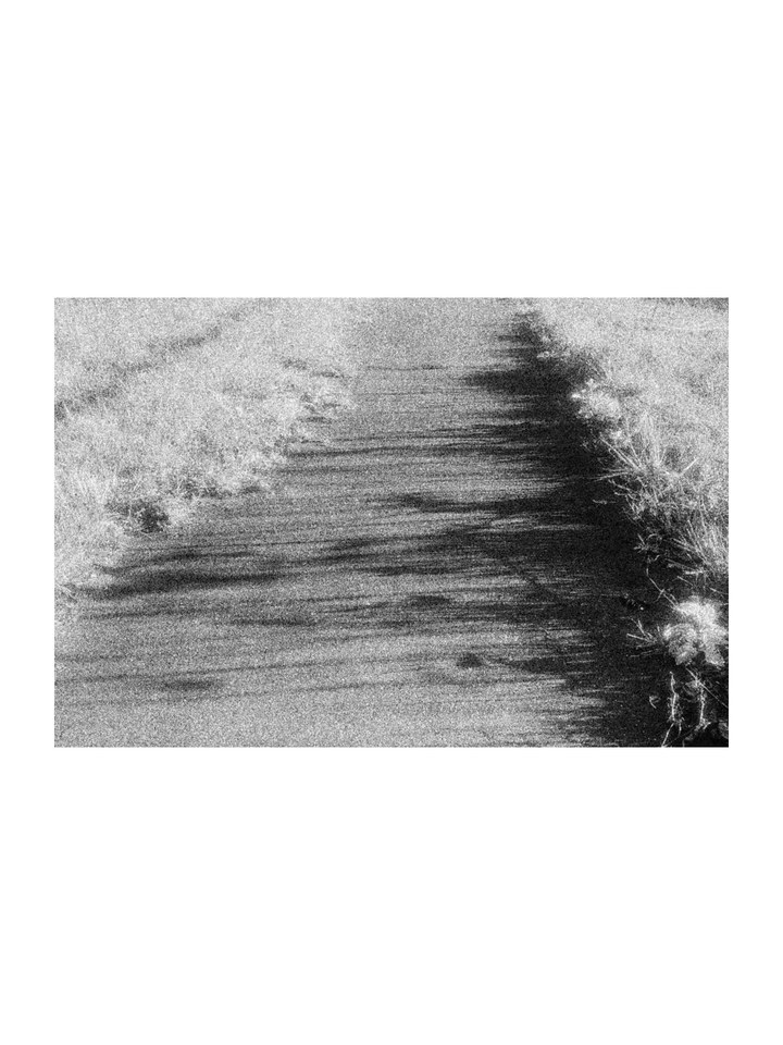 Shadows of grass falling across a path